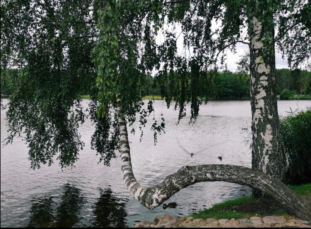 Aguona Apartament Lägenhet Druskininkai Exteriör bild